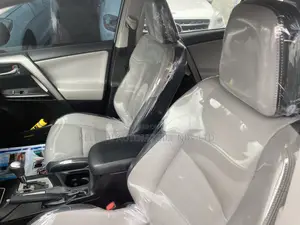 Toyota RAV4 Limited 4dr SUV (2.5L 4cyl 6A) 2018 Silver