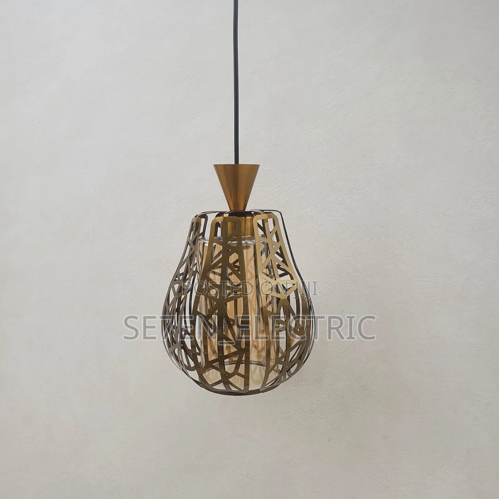 Single Dropping Pendant Light