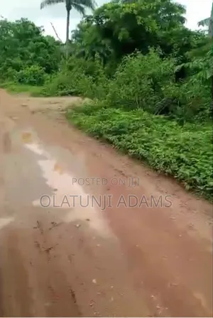 For Sale 60acres of Farmland at Igbajo Town