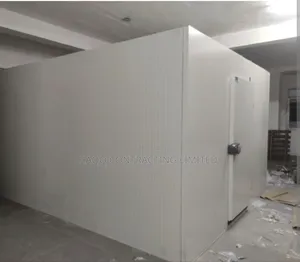 Walk in Cold Room Construction for Commercial Purpose