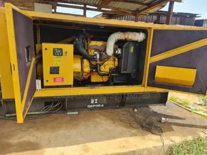 Diesel Generator Repair/Overhaul Expert/8 Months Warranty