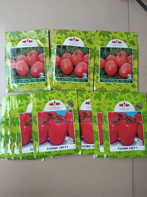 Tomato Seeds