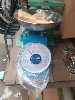 Camry 20kg Spring Scale