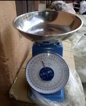 Camry Store Scale