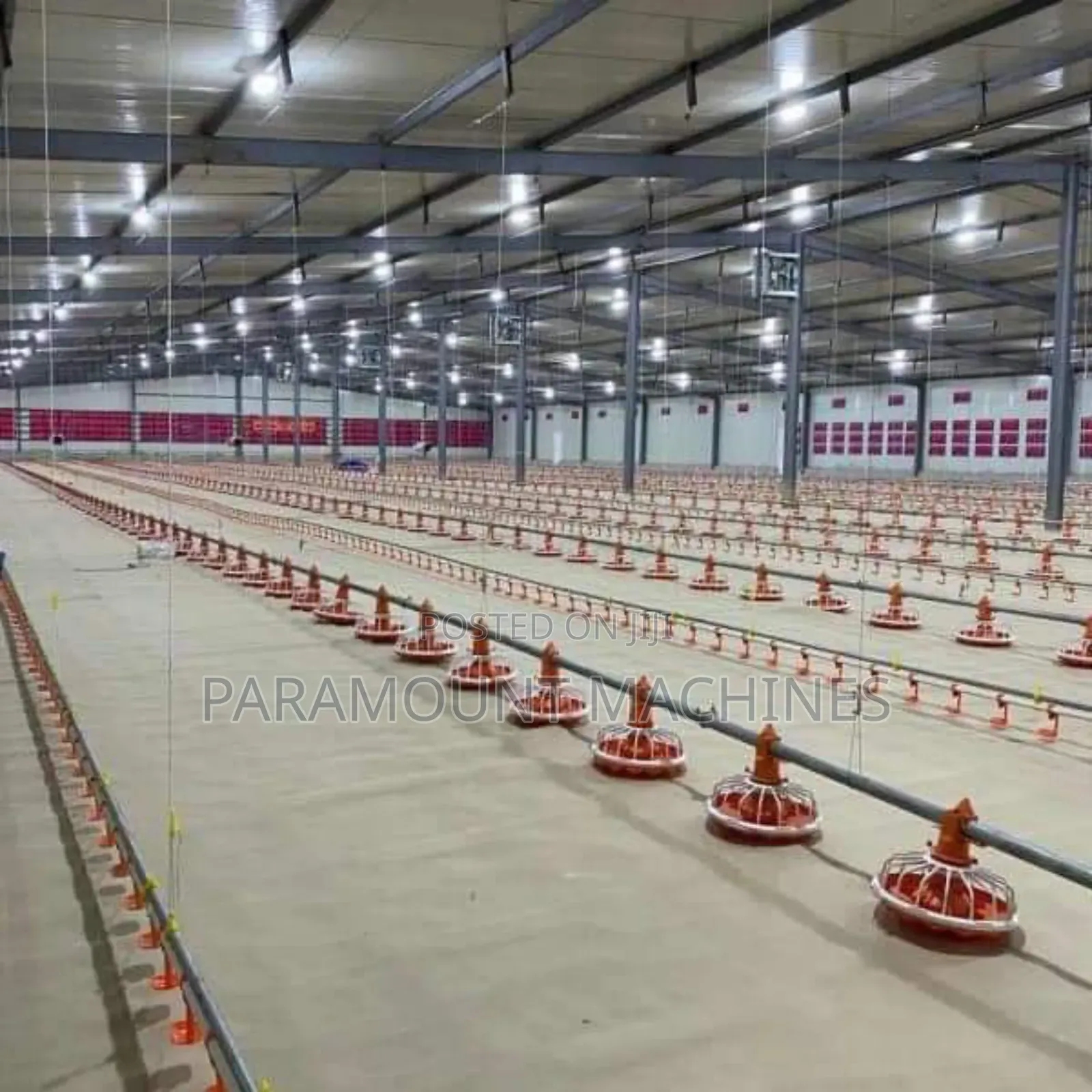 Poultry Pen Construction