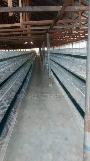 Poultry Pen Construction