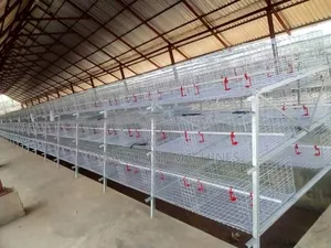 Poultry Pen Construction
