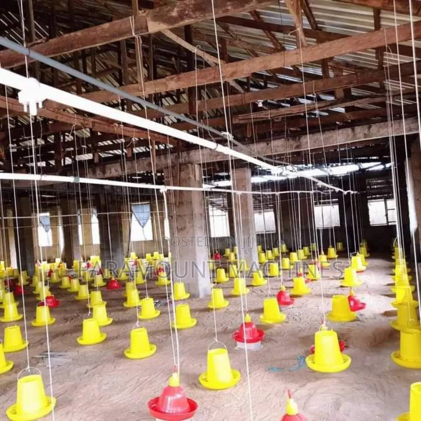 Poultry Pen Construction