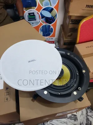 80 Watts Lucky Tone Frameless Ceiling/Pop Speaker
