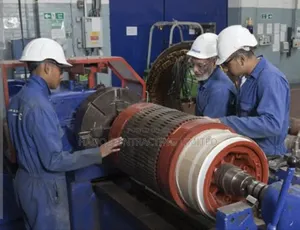Your Diesel Generator Alternator Repair/6 Months Warranty