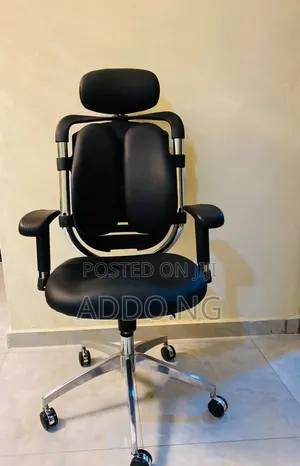 Home and Office Kidney Chair
