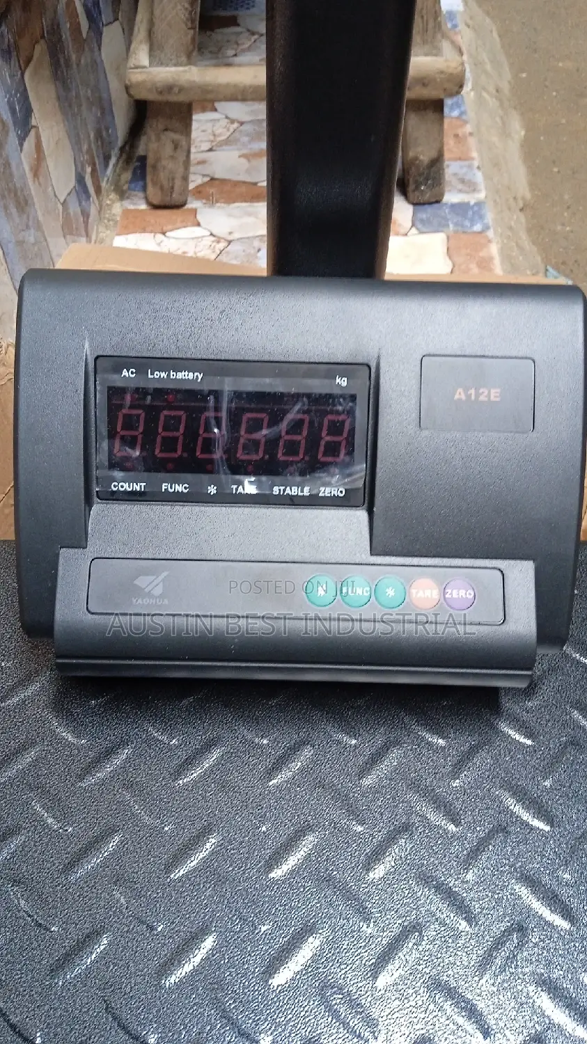 A12 Electronics Platform Scale