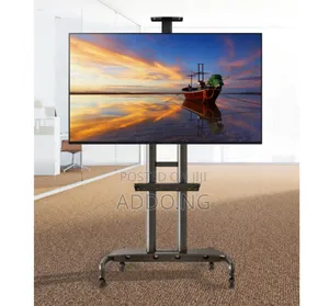 Moveable Television Hanger With Wheels