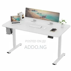 Home and Sit to Stand Electric Adjustable Desk 1.6 Meter