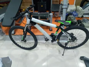 Adult Sports Bike