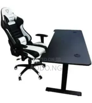 Home and Office Electric Adjustable Desk With Gaming Chair