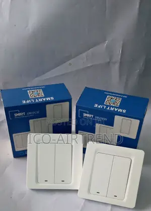 2gang Smart Life /Tuya Wifi Smart Automation Switch 220V