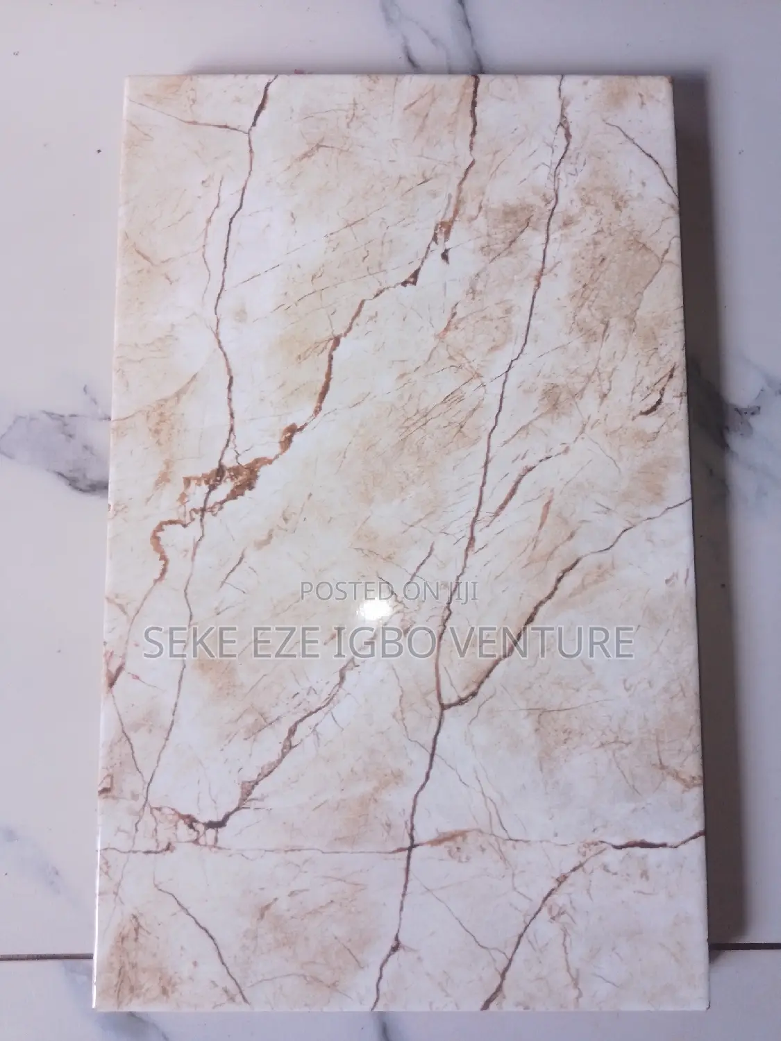 Toilet Wall Tiles