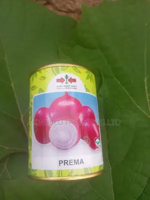 Onion Seeds With High Production