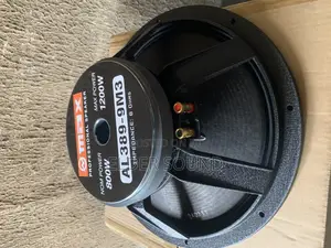 15” Omax Professional Naked Speaker