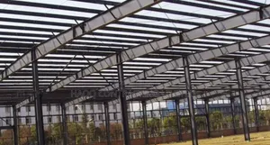 Warehouse Shed Roof Construction