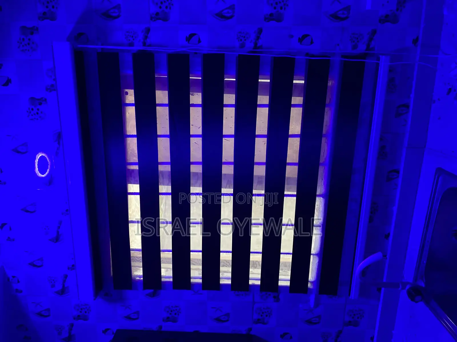 Window Blind