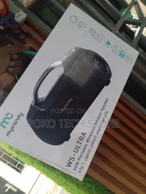 Ws-Ultra 60W Portable Wireless Outdoor Speaker