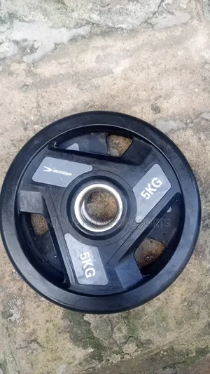 A Pair of 5kg Olympic Plate