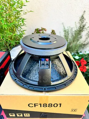 125/5incoil) Big Magnet 18 Inches Stock Naked Speaker