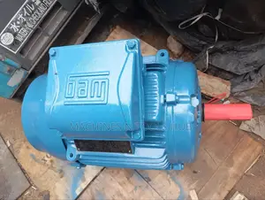 Weg Electric Motor 25hp