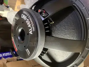 18” Omax Professional Naked Speaker