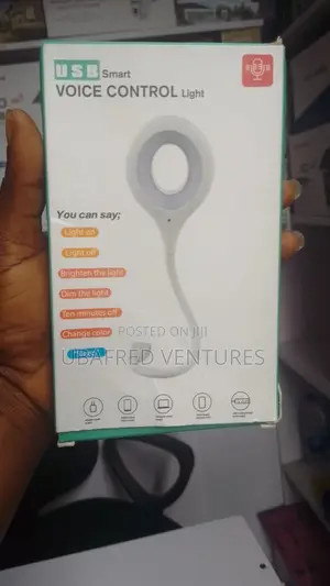 Voice Controlled Led Night Light Smart Usb Desk Lamp