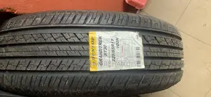 225/65r17 Dunlop