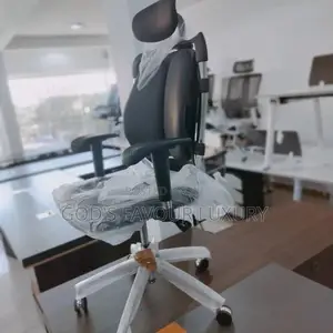 Office Kidney Chair.