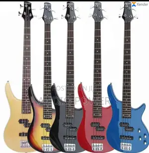 5 Strings Bass Guitar