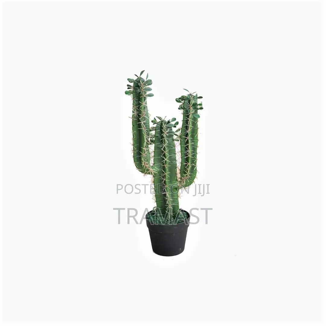 Artificial Cactus Plant