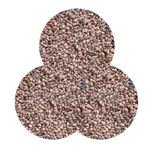 Miracle Seeds Or Ghana Seeds