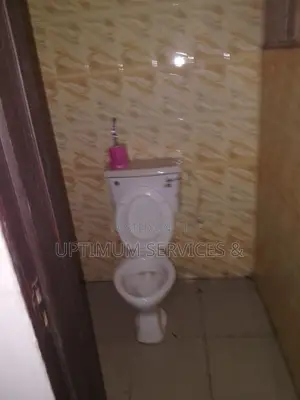 Cleaning and Fumigation at Optimal Level and at Best Cost