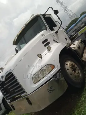 Direct Belgium Mack Head
