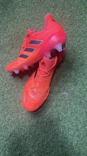 Adidas Ace 17.1 (42)