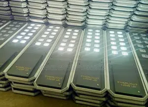 Ever Light 100w Solar Street Lights, NDDC Approved