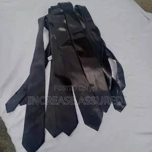 Locally Produced School Slim Long Ties