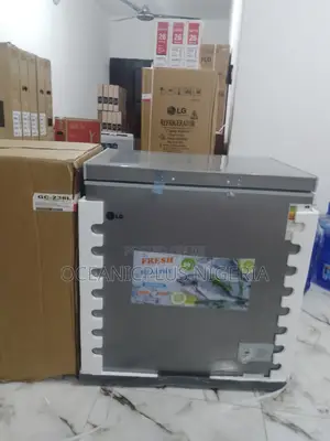 Best Market-Selling 150litres LG Chest Freezer