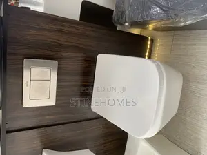 Conceal/ Wall Hung Wc