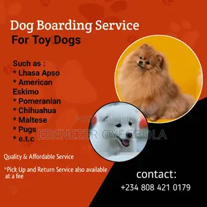 Dog Boarding for Toy Dog Breeds