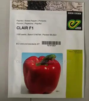 Enza Zaden Clair F1