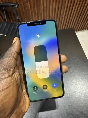 Apple iPhone 11 Pro Max 256 GB Gray
