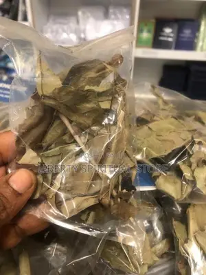 Fertility Leaf - Ewe Akoko