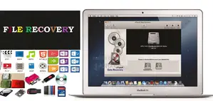 Laptop Repair Engineer