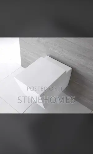 Concealed/Wall Hung Wc
